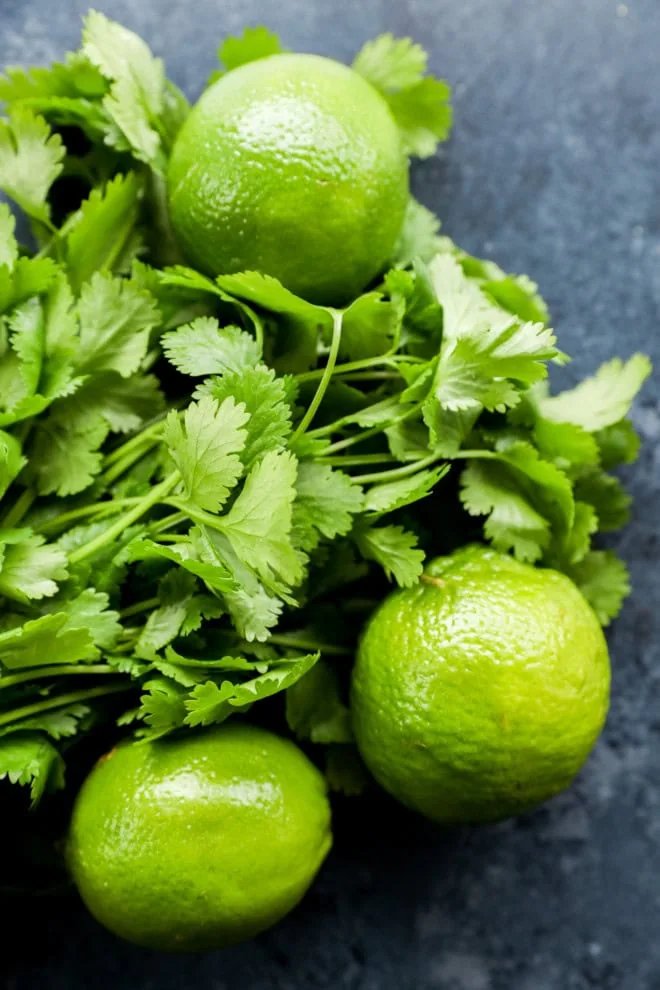 fresh limes and fresh cilantro bunch of leaves