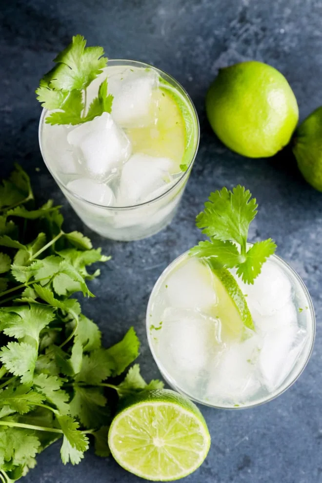 cilantro lime gin tonic recipe with limes and cilantro