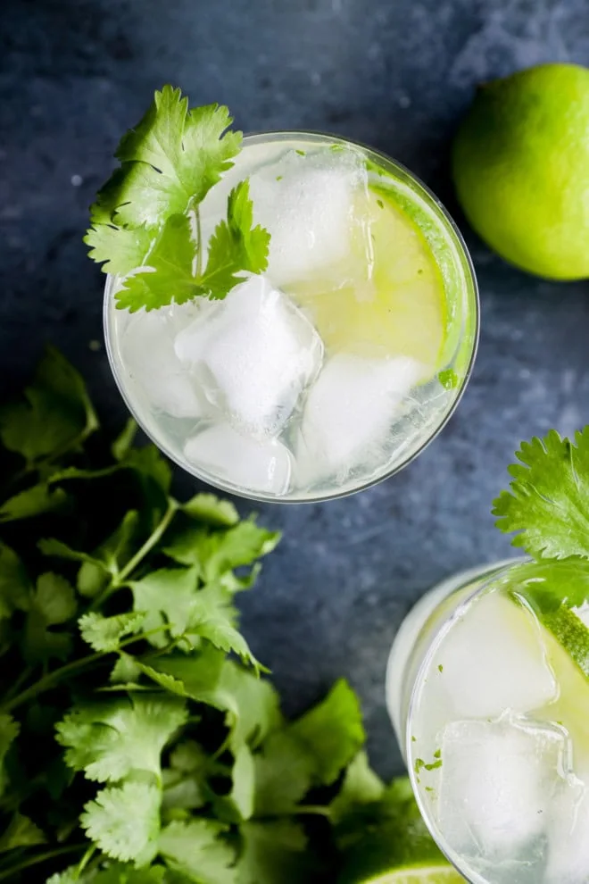 easy botanical cocktail with fresh herbs and limes