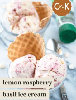 Lemon Raspberry Basil Ice Cream Pin