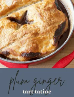 Plum Ginger Tart Satin Pinterest Photo