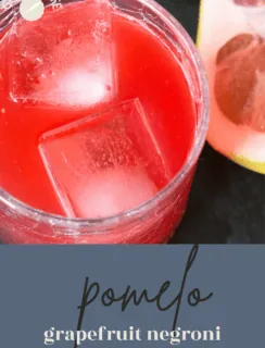 Pomelo Negroni Pinterest Pin