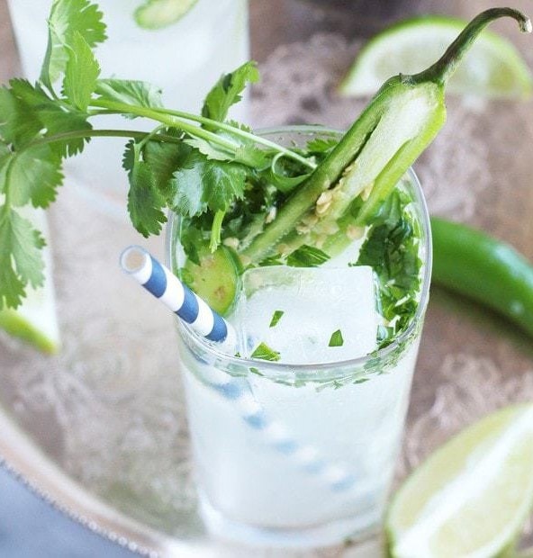 Serrano Cilantro Gin and Tonic