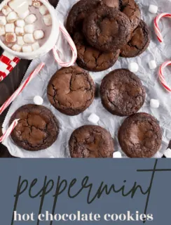 Hot Chocolate Cookies Pinterest Pin