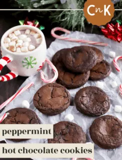 Hot Chocolate Cookies Pinterest Image