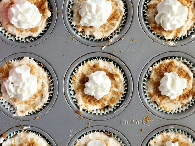 No Bake Gingerbread Mini Cheesecakes - Cooking in my Genes