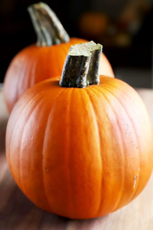 11 Ways To Use Pumpkin Puree For Fall | Cake 'n Knife