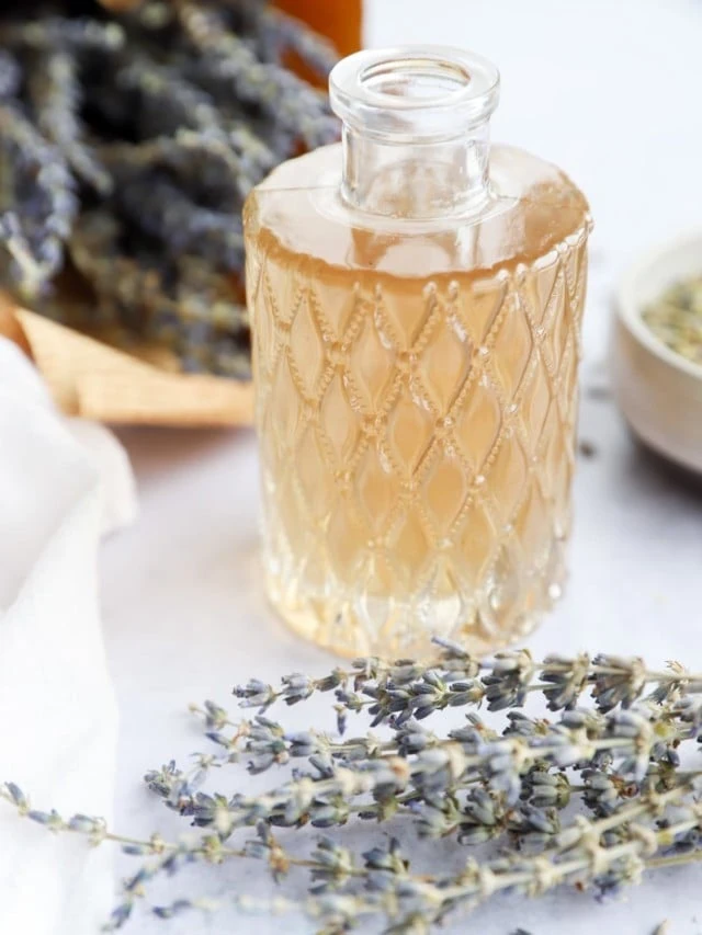 lavender simple syrup