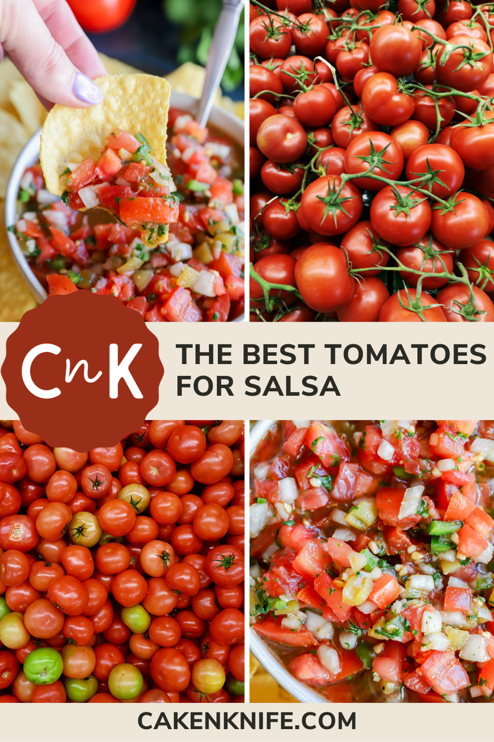 The Best Tomatoes for Homemade Salsa Cake 'n Knife