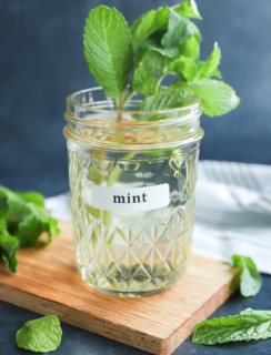 mint simple syrup in a mason jar with fresh mint leaves and sprigs