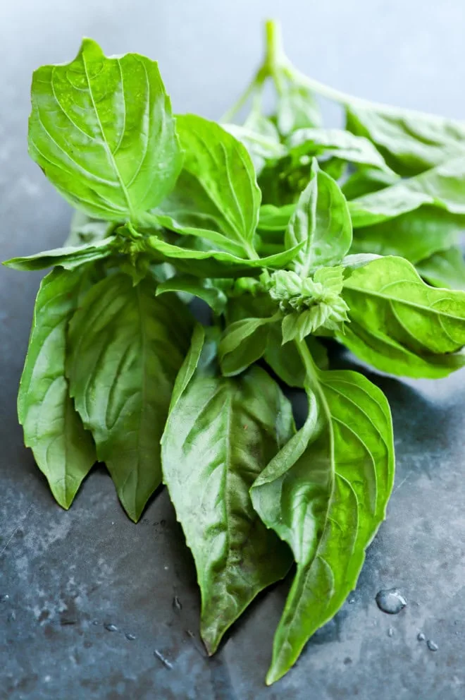 basil leaves