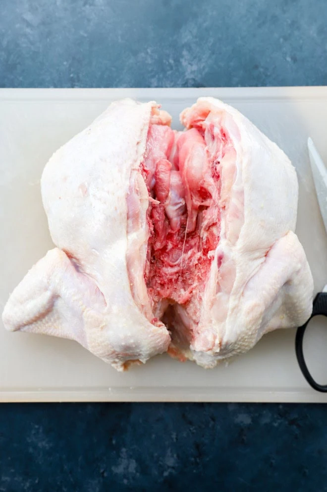 whole chicken with backbone removed on cutting board with shears