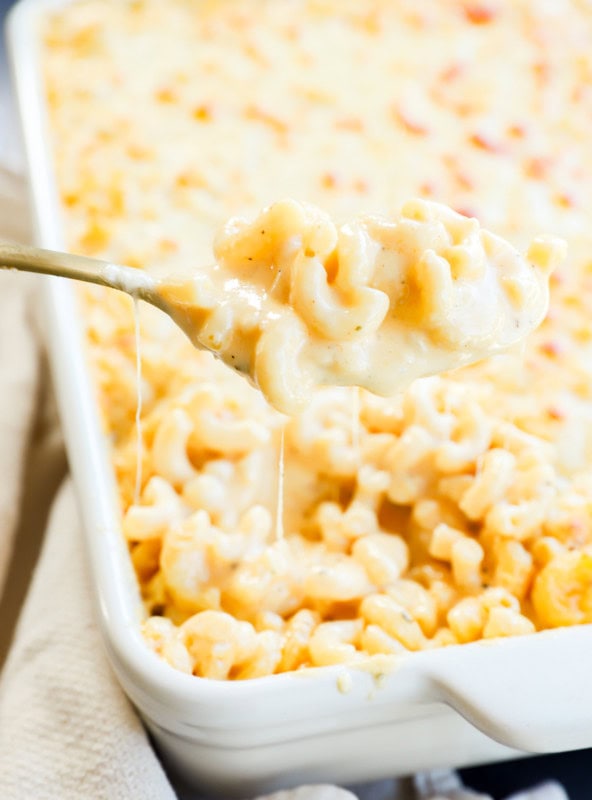 spoonful of creamy cheesy pasta lifting out of the baking dish