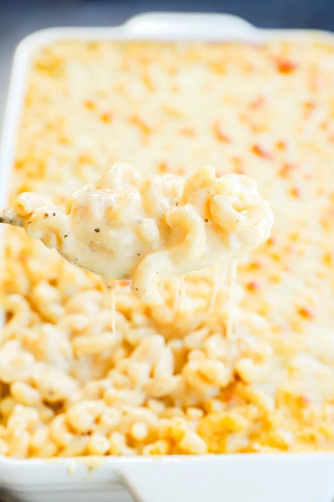 four cheese mac and cheese on a spoon super creamy over baking dish