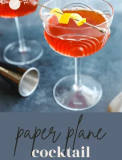 paper plane cocktail pinterest image