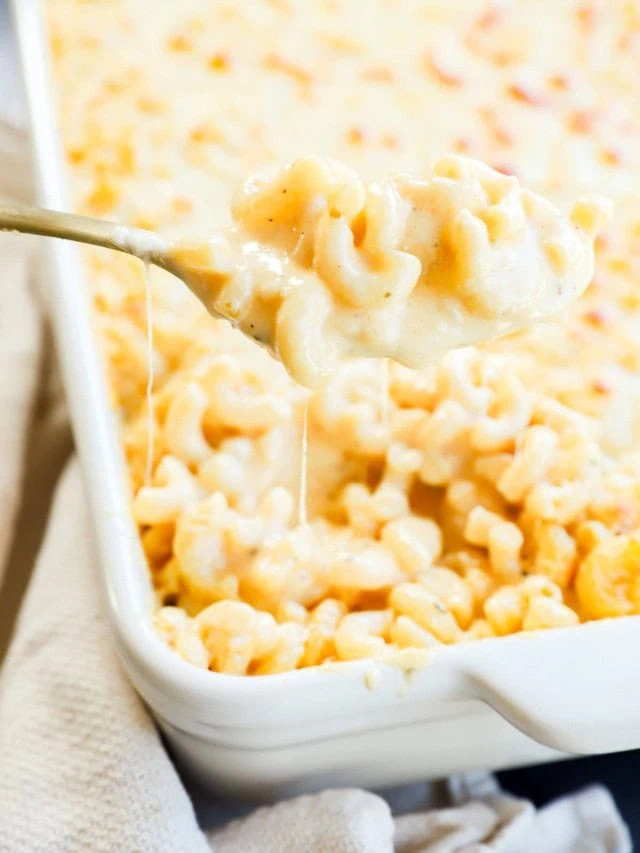 creamy four cheese mac and cheese