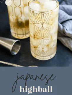 Japanese highball pinterest image