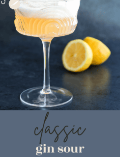 gin sour pinterest image