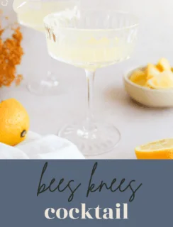 bees knees pinterest image